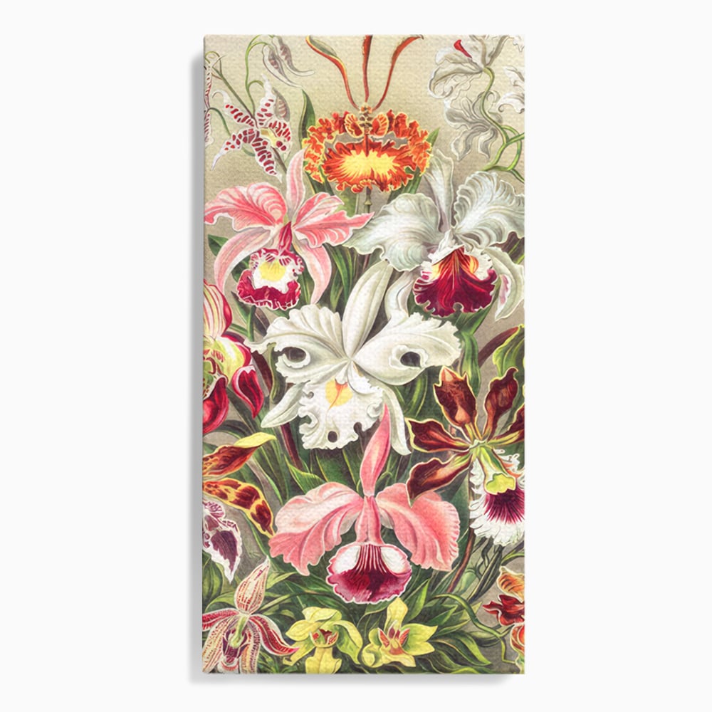 Tablou canvas cu ilustratie botanica cu orhidee multicolore, fara rama, pe sasiu de lemn